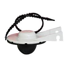 16404 RUGO - Pera sapo 2