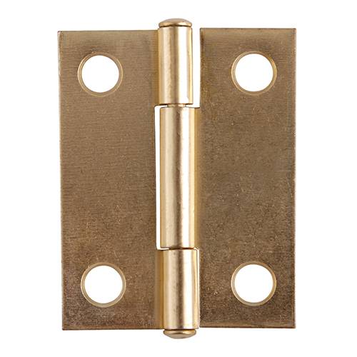 199931 DEXTER - Bisagra cuadrada ligera perno remachado sin tornillos 2