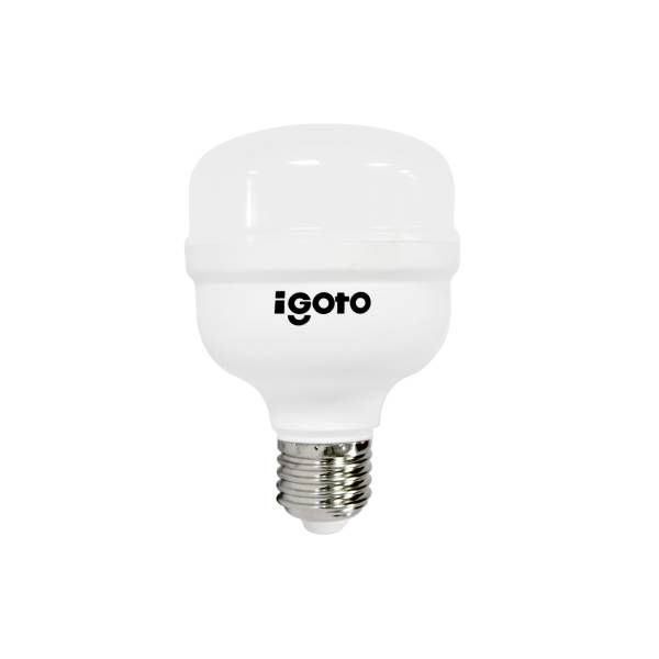 213778 IGOTO - Foco de led alta potencia 20w LDD T80 F10520 Igoto