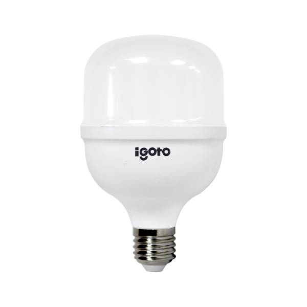213779 IGOTO - Foco de led alta potencia 30w LDD T100 F10530 Igoto
