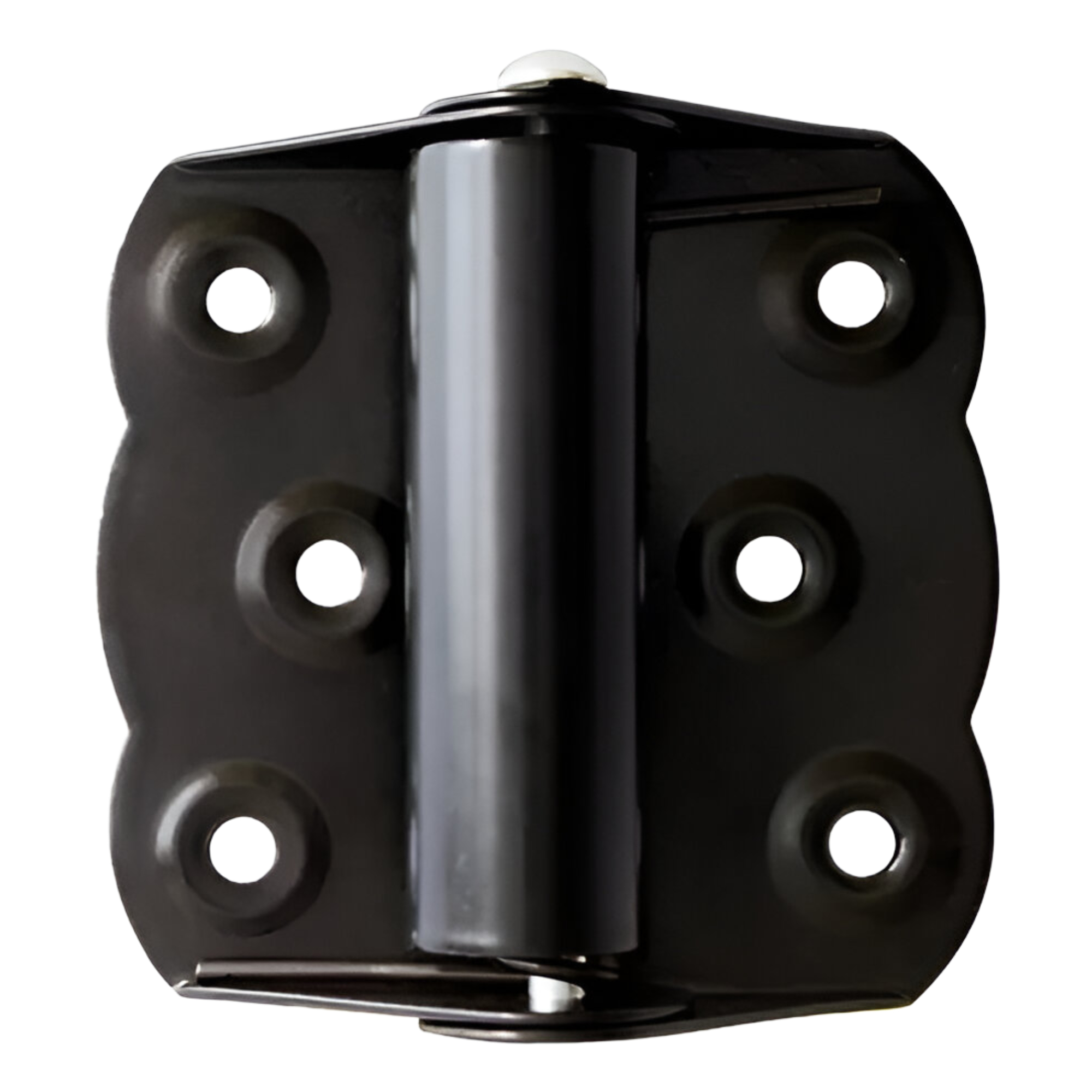 201854 DEXTER - Bisagra de accion sencilla 3