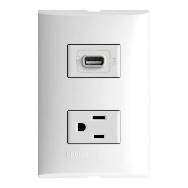212329 FORZA - Placa 2 ventanas con contacto 2p+t y contacto USB blanco Forza Bticino