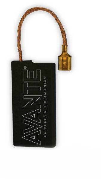 216465 AVANTE - Carbones para aspiradora grande Craftsman 2pz cap-76 Avante