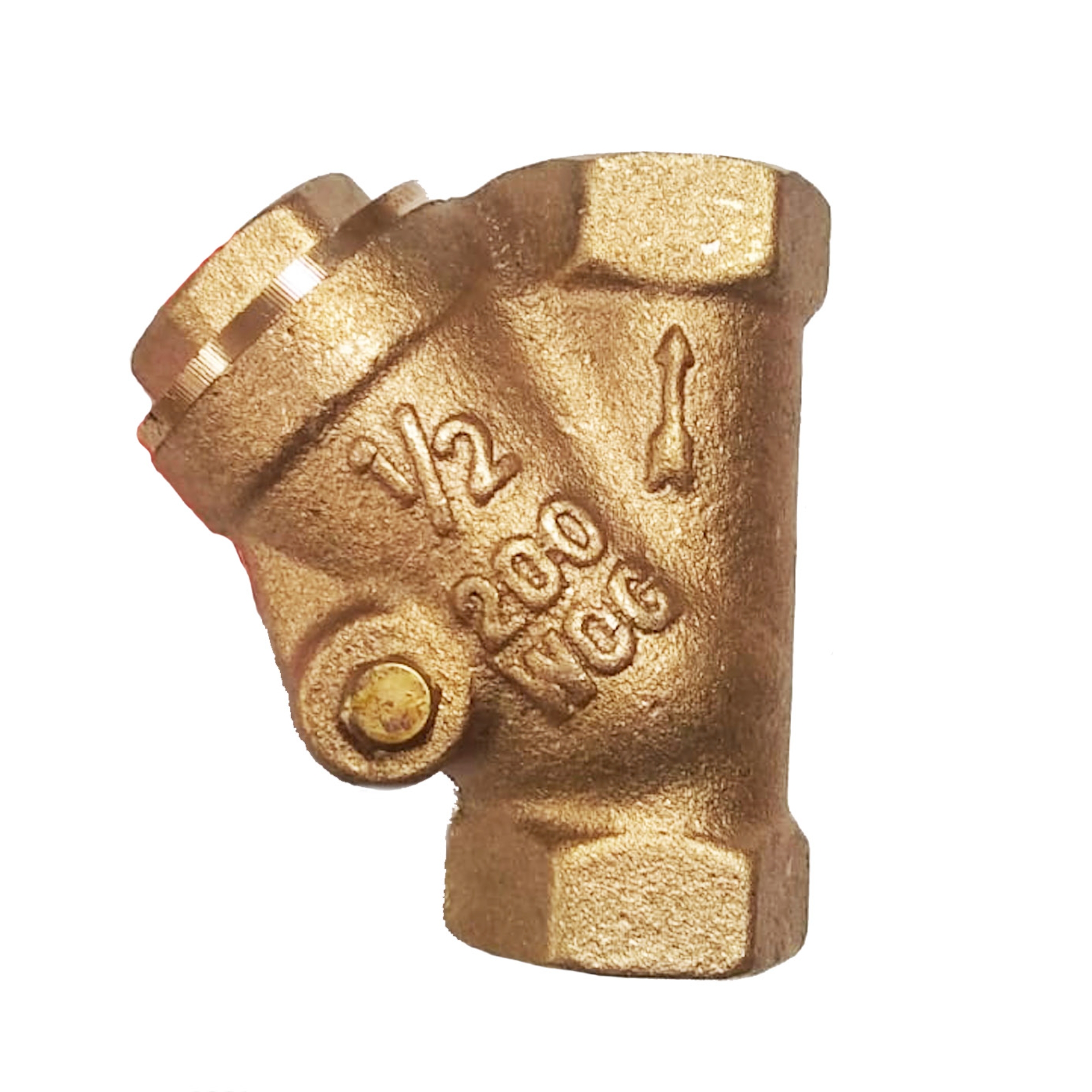 227484 GAFI - Valvula check columpio 013mm 1/2