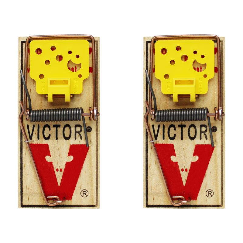 238057 VICTOR - Ratonera de madera chica con carnada 2 pack blister Victor
