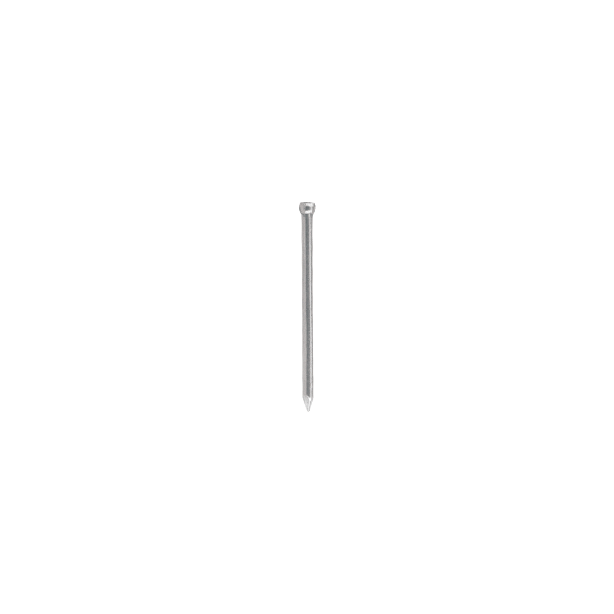 238891 CLAVOS NACIONALES - Clavo liso s/c 025mm 1 bolsa 1kg Clavos Nacionales