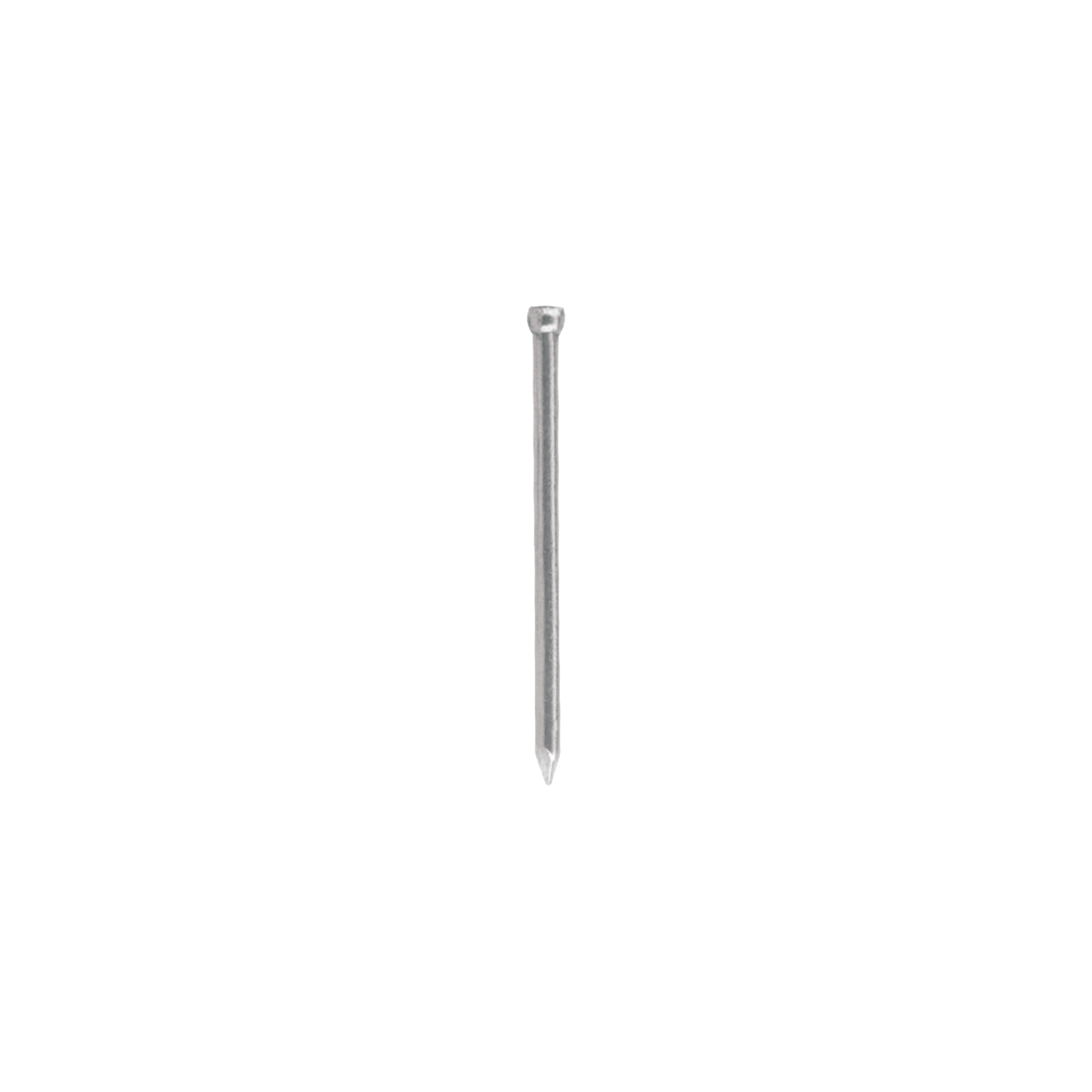 238893 CLAVOS NACIONALES - Clavo liso s/c 050mm 2 bolsa 1kg Clavos Nacionales