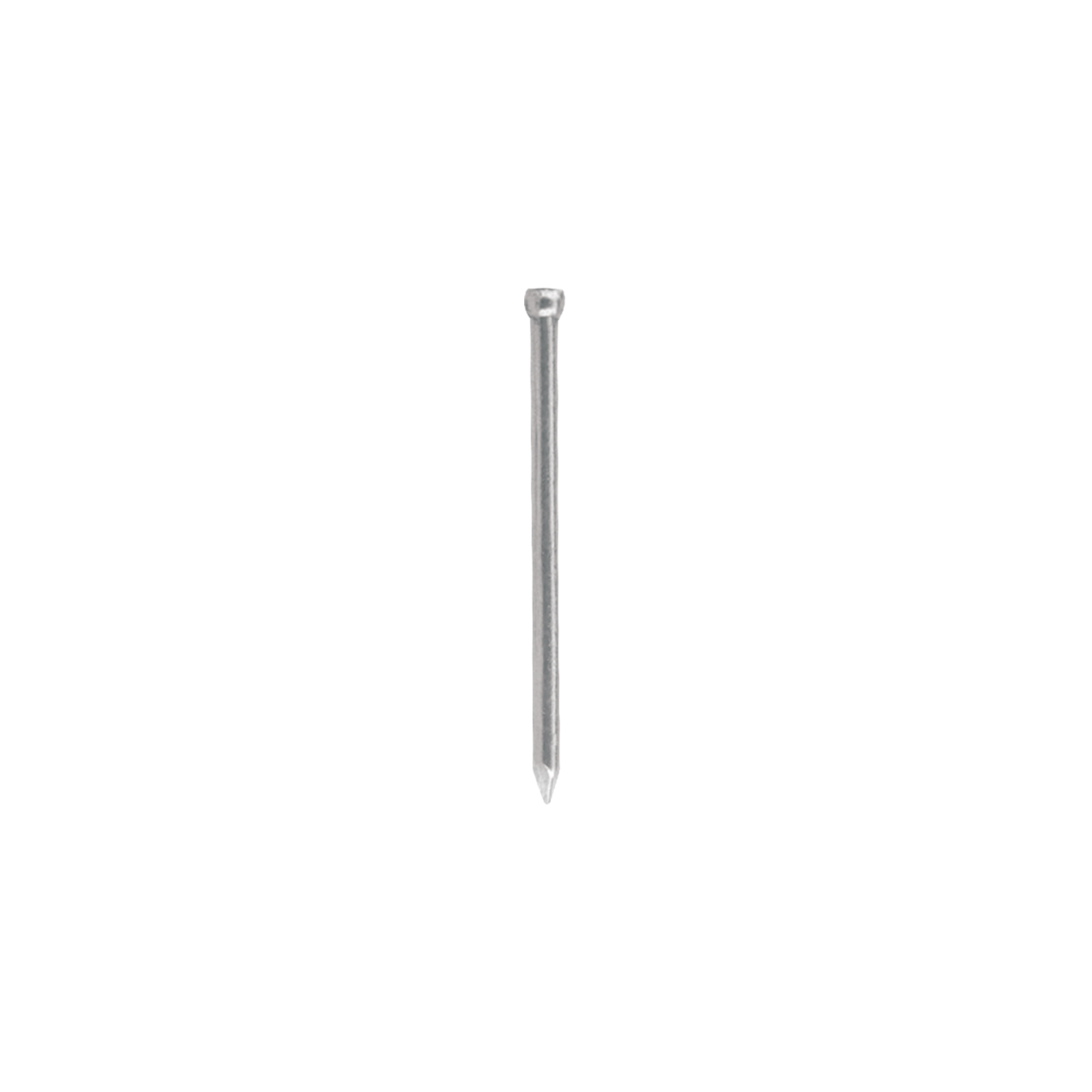 238895 CLAVOS NACIONALES - Clavo liso s/c 064mm 21/2 bolsa 1kg Clavos Nacionales