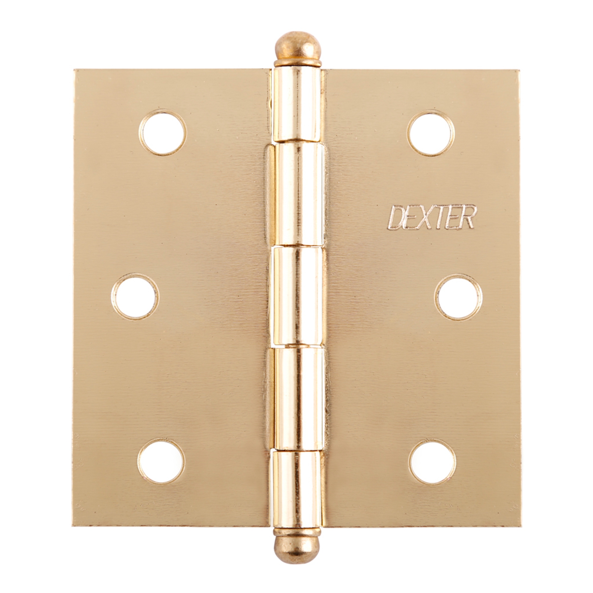 287098 DEXTER - Bisagra cuadrada ligera perno suelto con tornillos 3